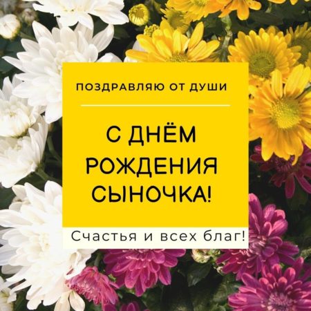 Когда в России отмечают День матери?