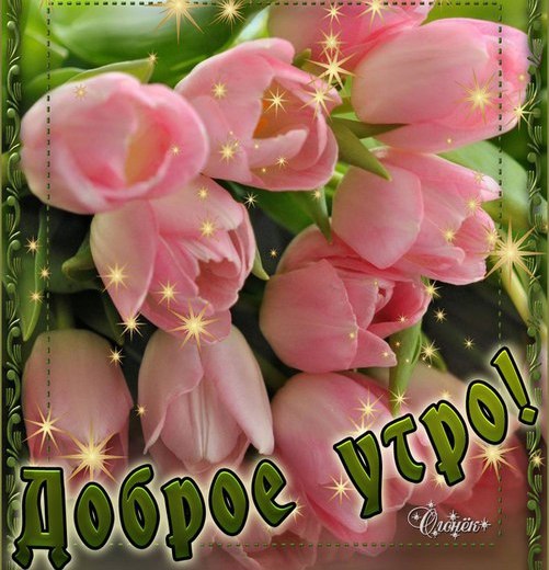 Ласковая анимационная открытка с розой Доброе утро