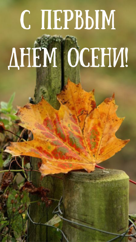 открытка «Осень»